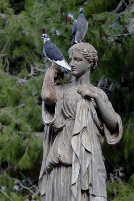 San Anton Garden
